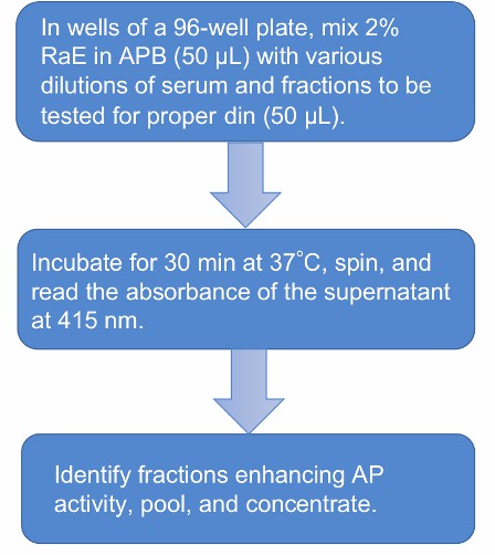 Flow chart of the CFP functional analysis protocol.