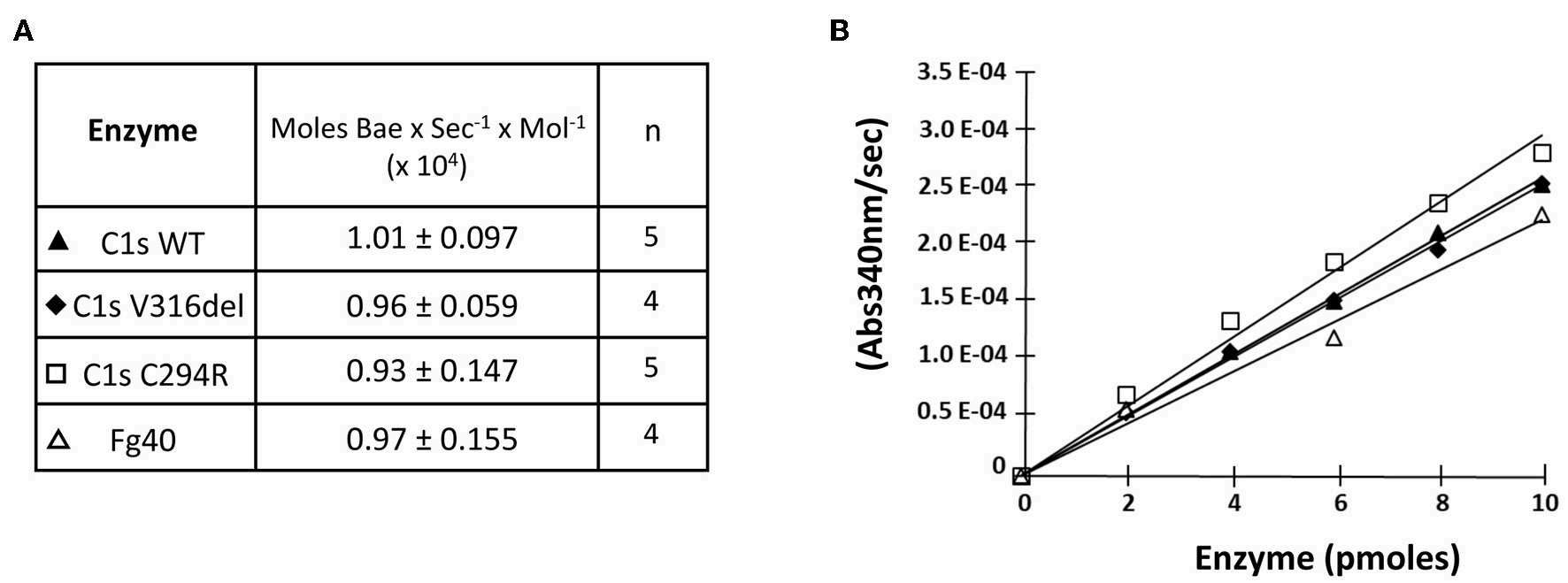 Esterolytic activity of the pEDS C1s variants and Fg40.