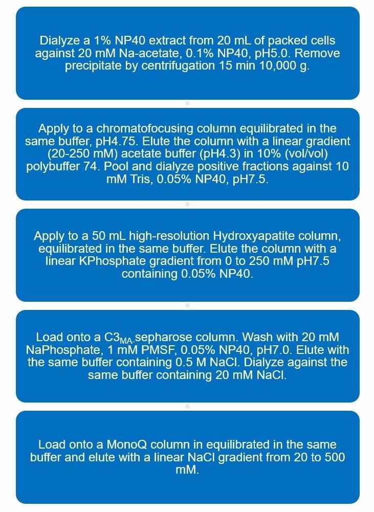 Flow chart of membrane cofactor protein (MCP/CD46) purification protocol. 