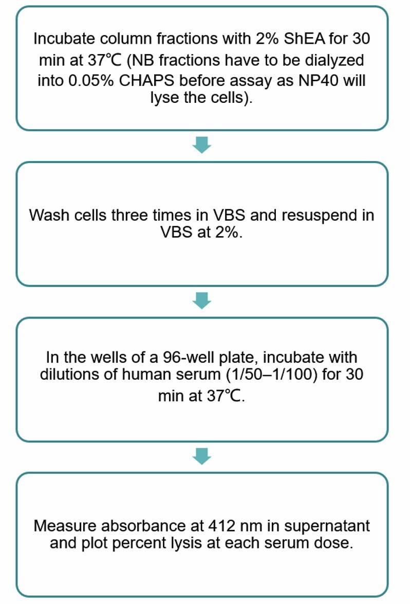 Flow chart of CD55 functional assay protocol.