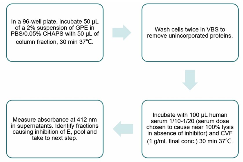 Flow chart of CD59 functional assay protocol.
