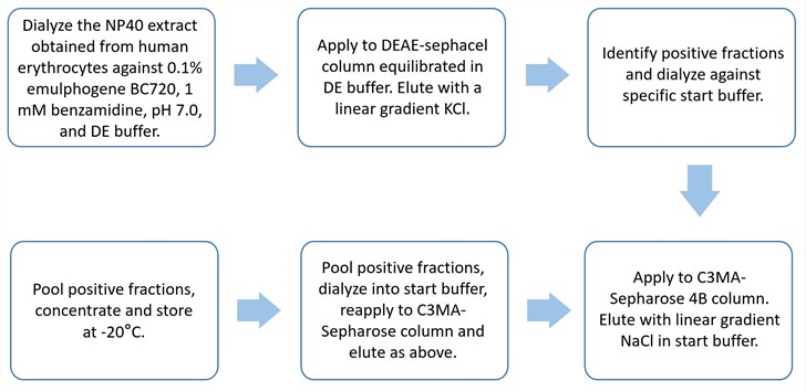 Flow chart of CR1 purification protocol.