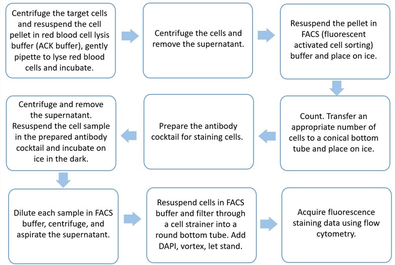 Flow chart of CR1 detection assay.