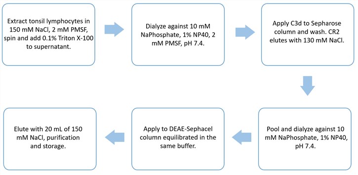 Flow chart of CR2 purification protocol.