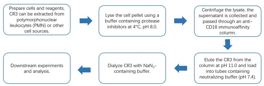 Workflow of CR3 purification.