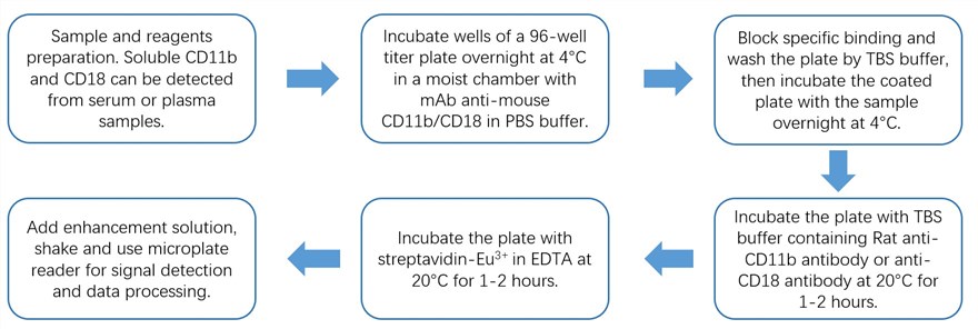 Flow chart of TRIFMA soluble CD11b and CD18 detection protocol.
