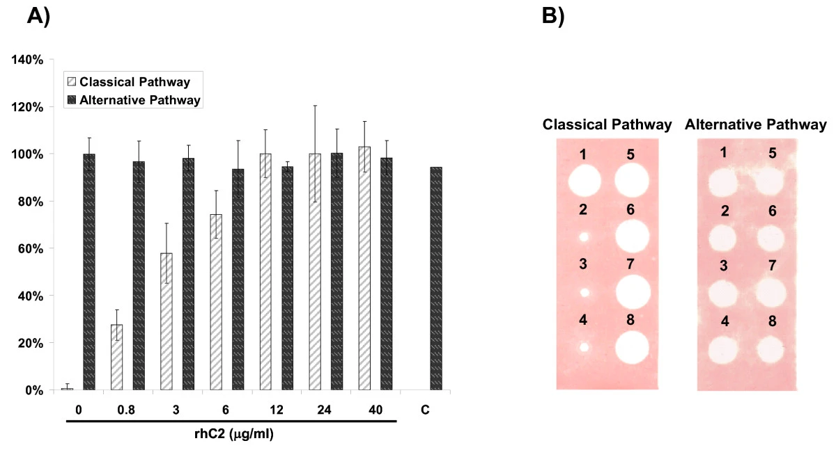 rhC2 restores classical pathway complement activity in C2-deficient patient serum.