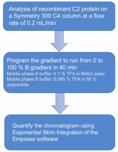 Flow chart of recombinant human C2 activity analysis.