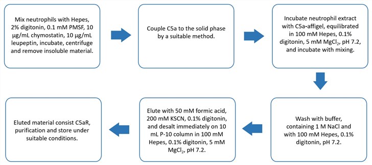 Flow chart of C5aR purification protocol.