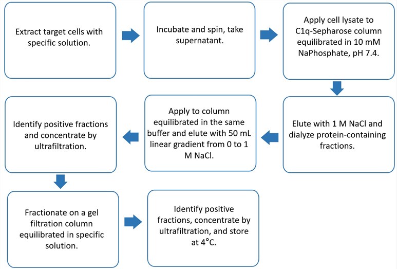 Flow chart of gC1qR purification protocol.