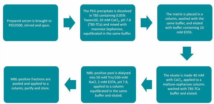 Flow chart of MBL purification protocol. 
