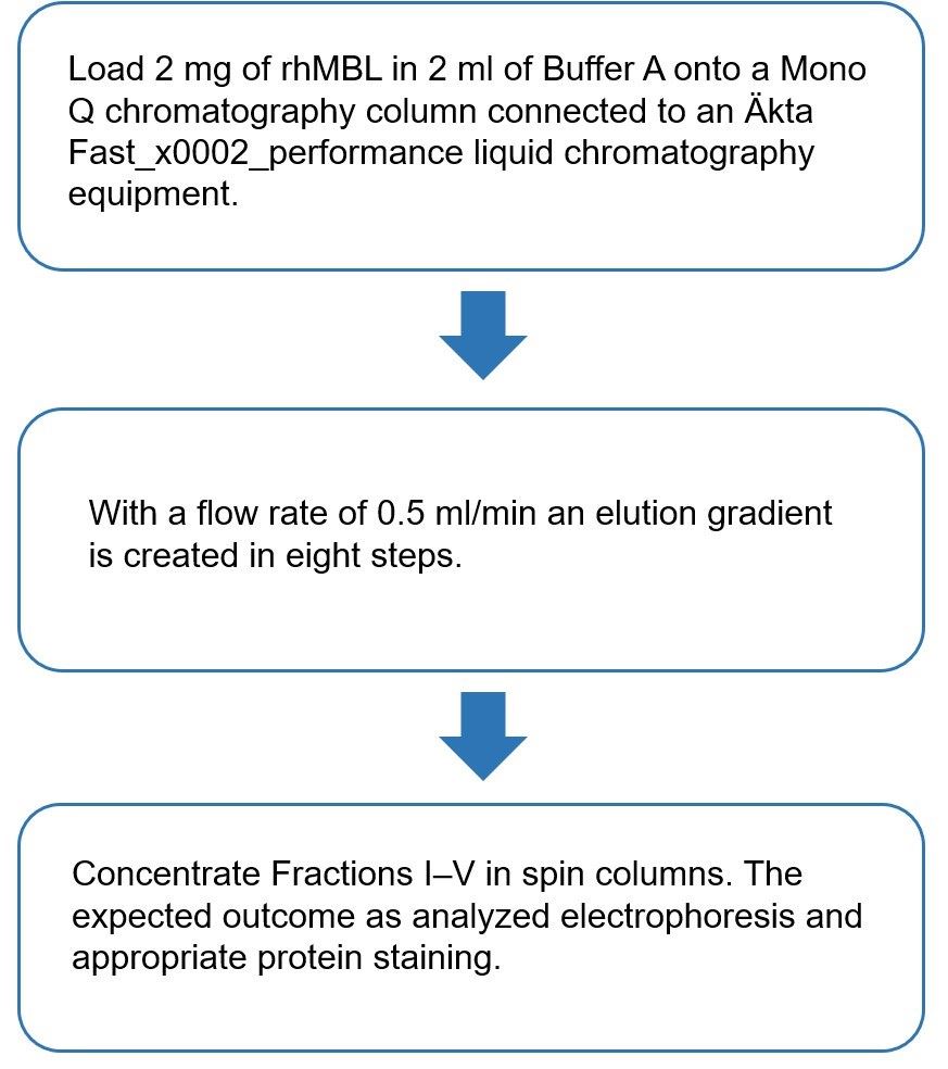 Flow chart of ion exchange chromatography-based separation of MBL oligomers protocol.