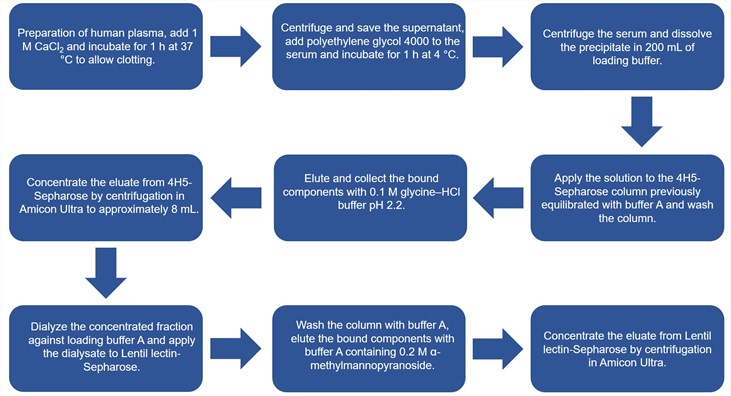 Flow chart of the H-Ficolin purification protocol.