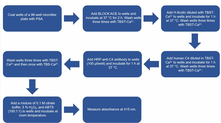 Flow chart of the H-ficolin-mediated complement activation assay protocol.