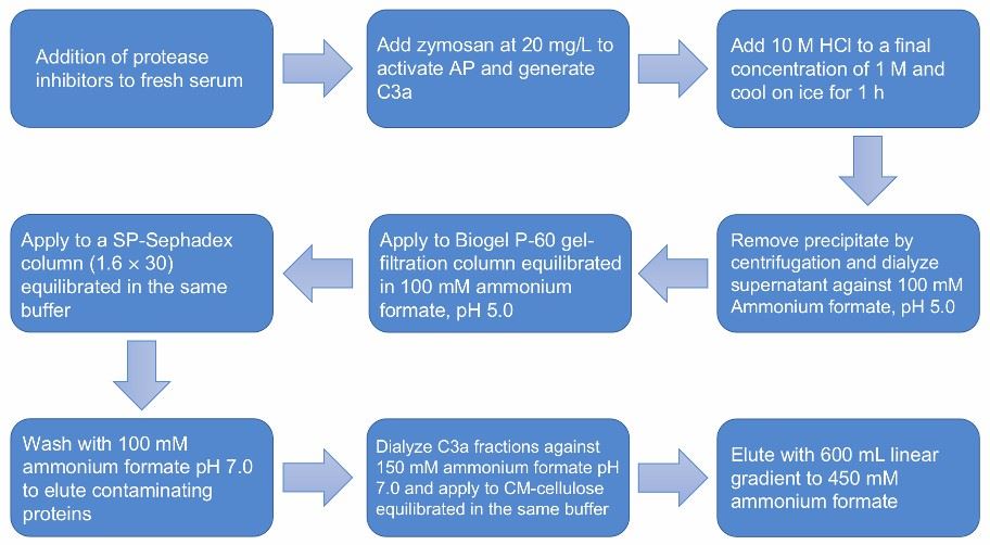 Flow chart of anaphylatoxin C3a purification.