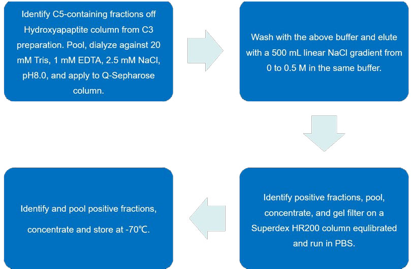 Flow chart of C5 purification protocol.