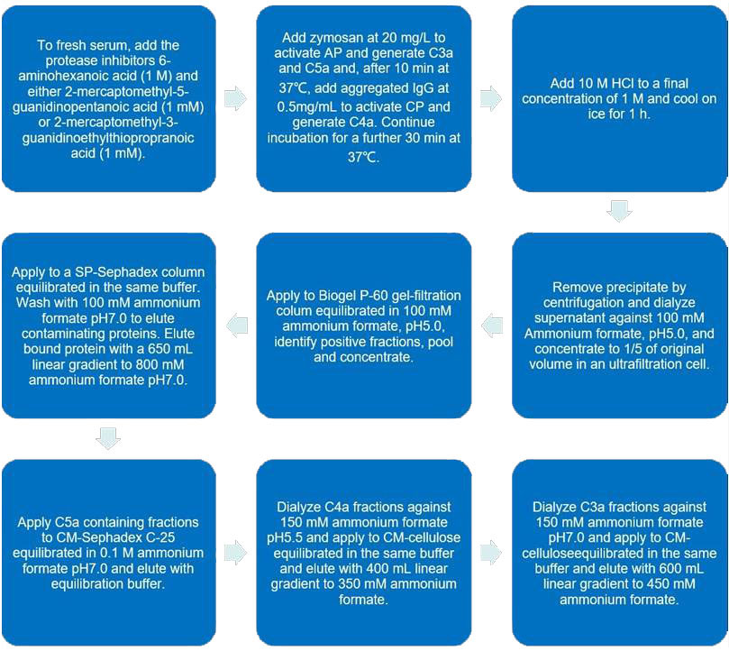 Flow chart of anaphylatoxin C5a purification protocol.