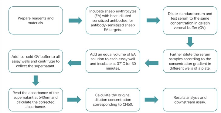 Workflow of hemolytic assay for functional analysis of the CP. (Creative Biolabs Original)