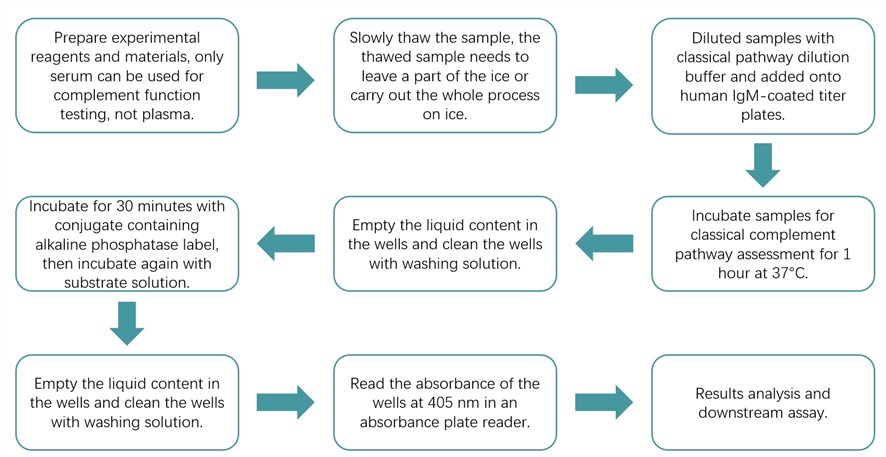 Workflow of ELISA-based assay for functional analysis of the CP. (Creative Biolabs Original)