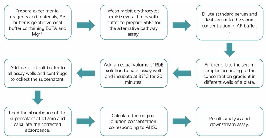 AH50 assay protocol. (Creative Biolabs Original)