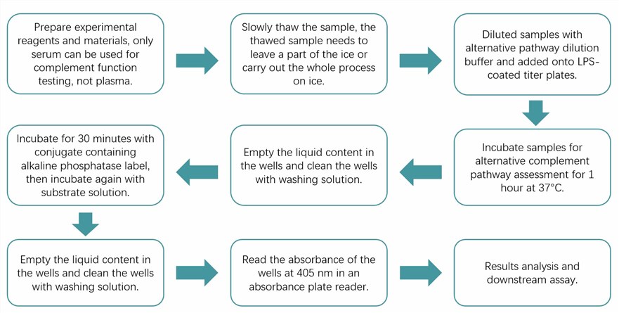 ELISA-based AP functional assay protocol. (Creative Biolabs Original)