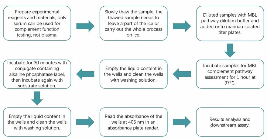 Workflow of MBL pathway of complement analysis protocol. (Creative Biolabs Original)