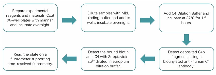 Workflow of time-resolved immunofluorescence assay protocol. (Creative Biolabs Original)