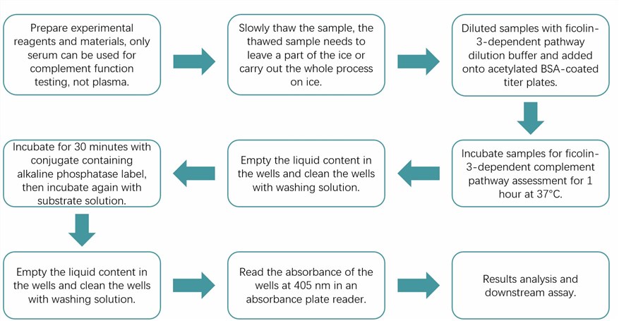 The flow of ficolin-3-pathway of complement analysis protocol. (Creative Biolabs Original)