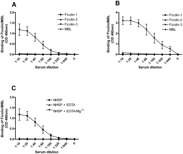 Binding of serum Ficolins and MBL to acBSA.