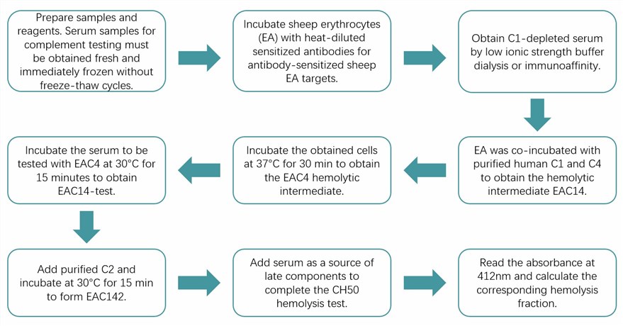 Workflow of hemolytic assay for C1 complex. (Creative Biolabs Original)