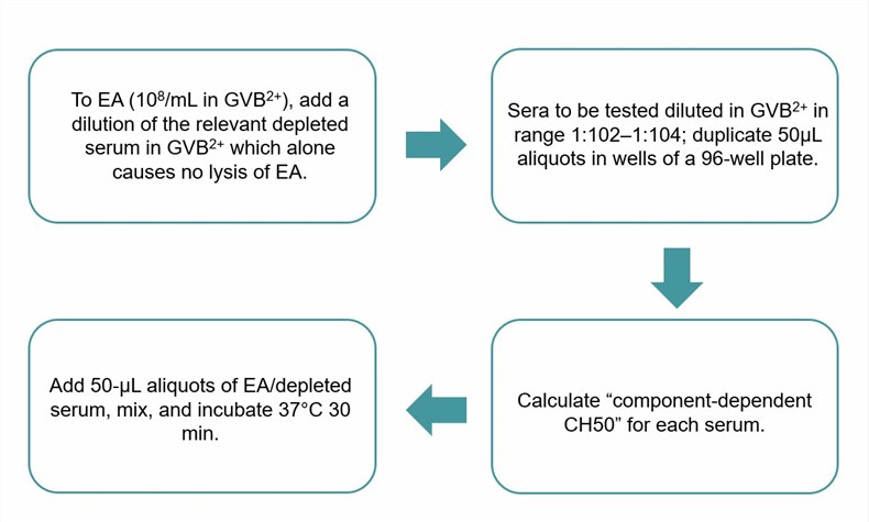  Flow chart of the hemolytic assay protocol for terminal components. (Creative Biolabs Original)