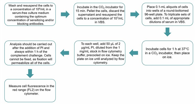 Flow chart of the propidium iodide assay protocol. (Creative Biolabs Original)