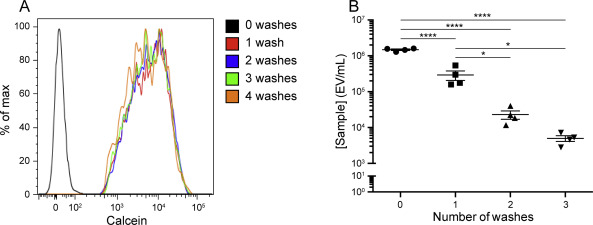 (A) Washing calcein AM-labeled plasma EVs did not appreciably change fluorescence intensity. (B) Washing plasma EVs resulted in a significant loss of EVs with each wash.
