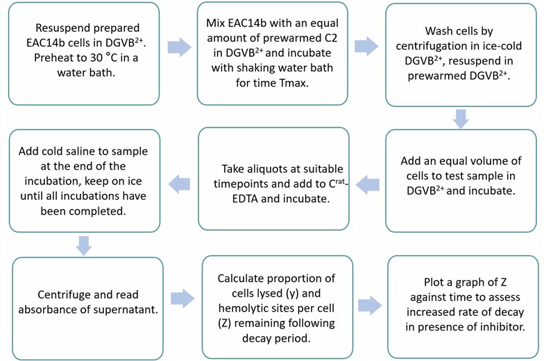 Assay of decay activity. (Creative Biolabs Original)