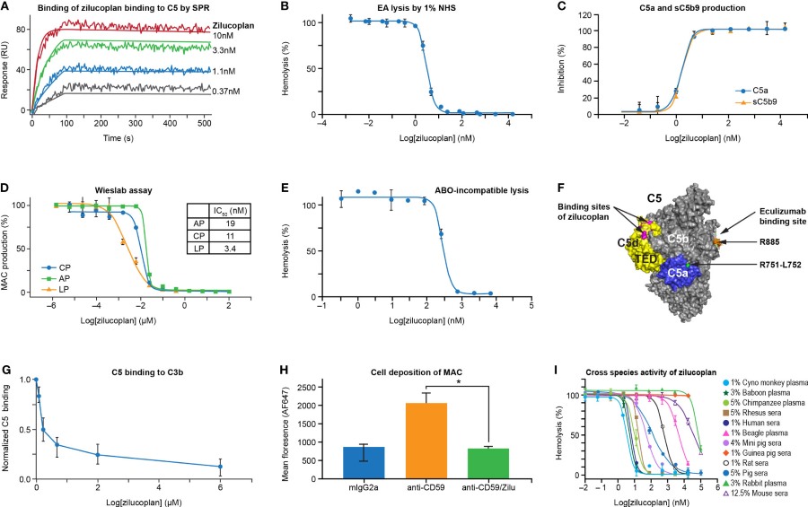 Zilucoplan binds human C5 and blocks complement-mediated hemolysis in vitro.