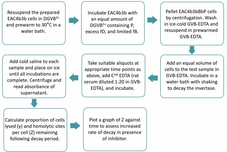 Flow chart of AP hemolytic assay protocol. (Creative Biolabs Original)