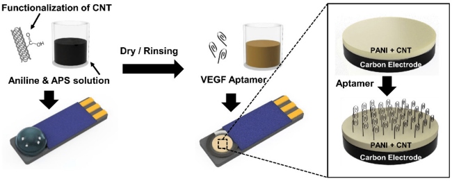 Fig. 3 Schematic illustration of the preparation of electrochemical sensor with VEGF165 aptamer.
