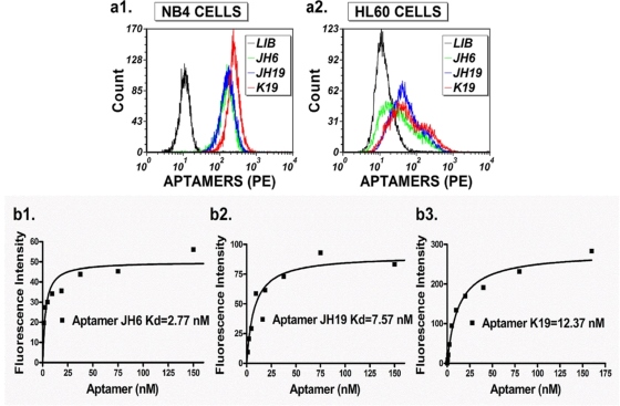 Aptamer recognition of cultured NB4 and HL60 leukemic cells.