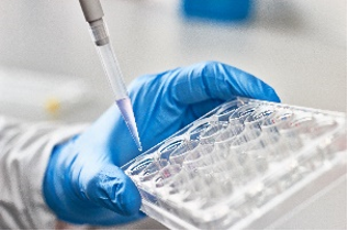 Experiments. (Creative Biolabs Authorized)