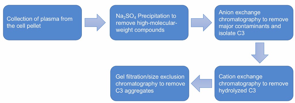 Flow chart of C3 purification from human plasma.