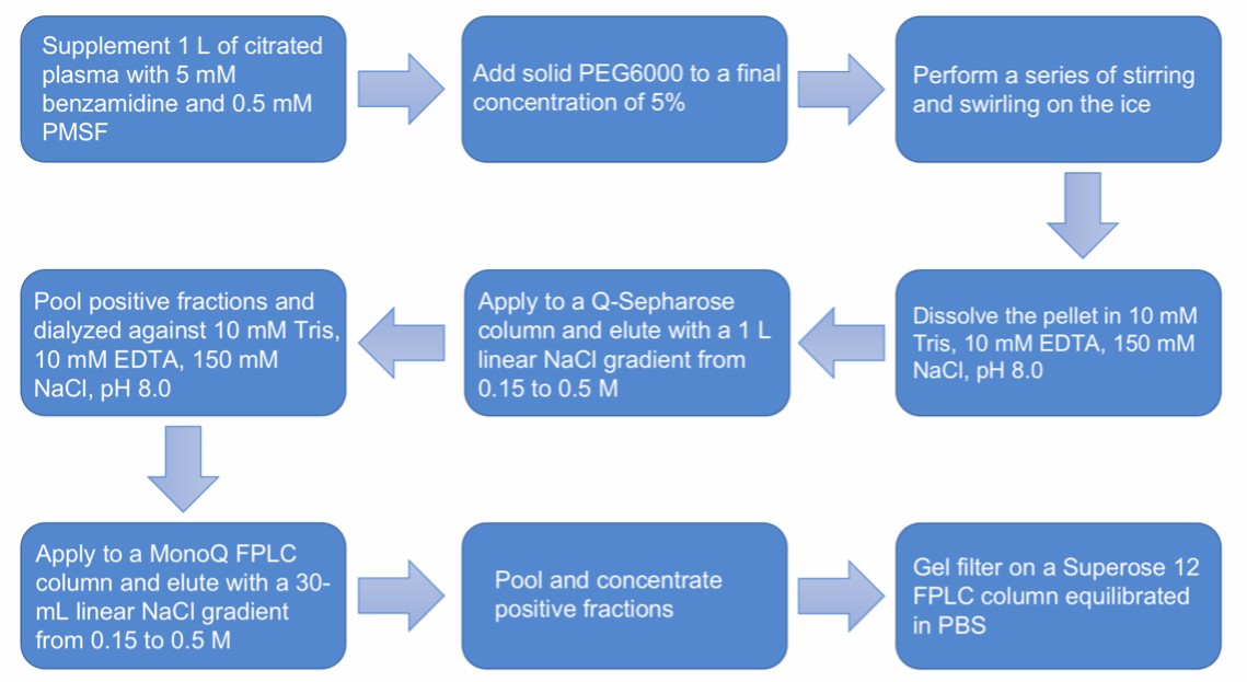 Flow chart of C4 purification protocol.