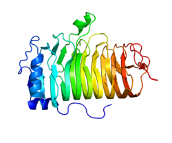 Fig 1. The Structure of CD20. （By Pleiotrope - Own work, https://commons.wikimedia.org/wiki/File:Protein_MS4A1_PDB_1S8B.png）