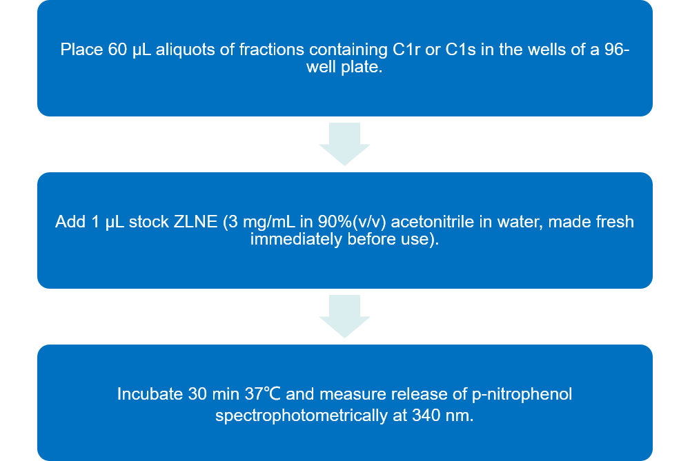 Flow chart of esterolytic activity analysis of C1r and C1s protocol by using substrate ZLNE.