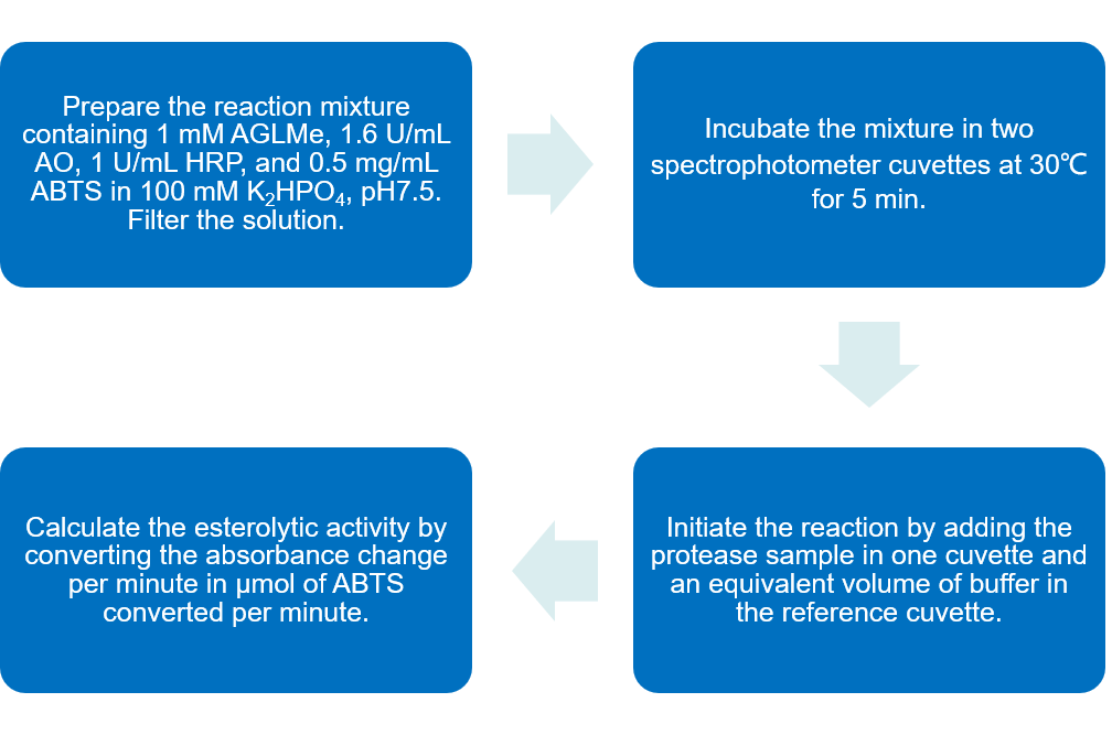 Flow chart of esterolytic activity analysis of C1r and C1s protocol by using substrate AGLMe.