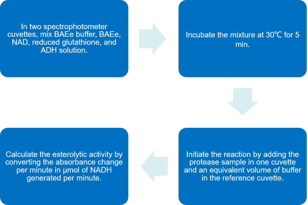 Flow chart of esterolytic activity analysis of C1r and C1s protocol by using substrate BAEe.