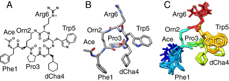 Structure of the cyclic hexapeptide ligand PMX53.