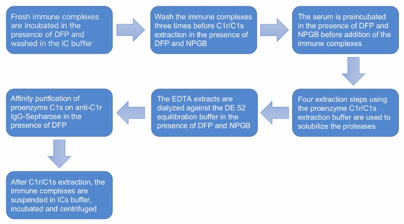 Flow chart of proenzyme C1r and C1s purification from serum.