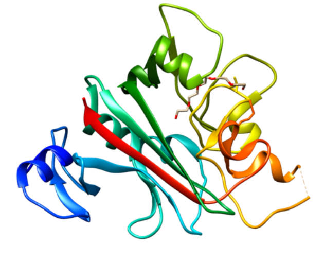 3D predicting structure of ANGPTL4.
