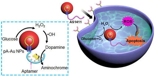  Aptamer-modified Au nanoparticles for functional nanozyme bioreactors (OA Literature)