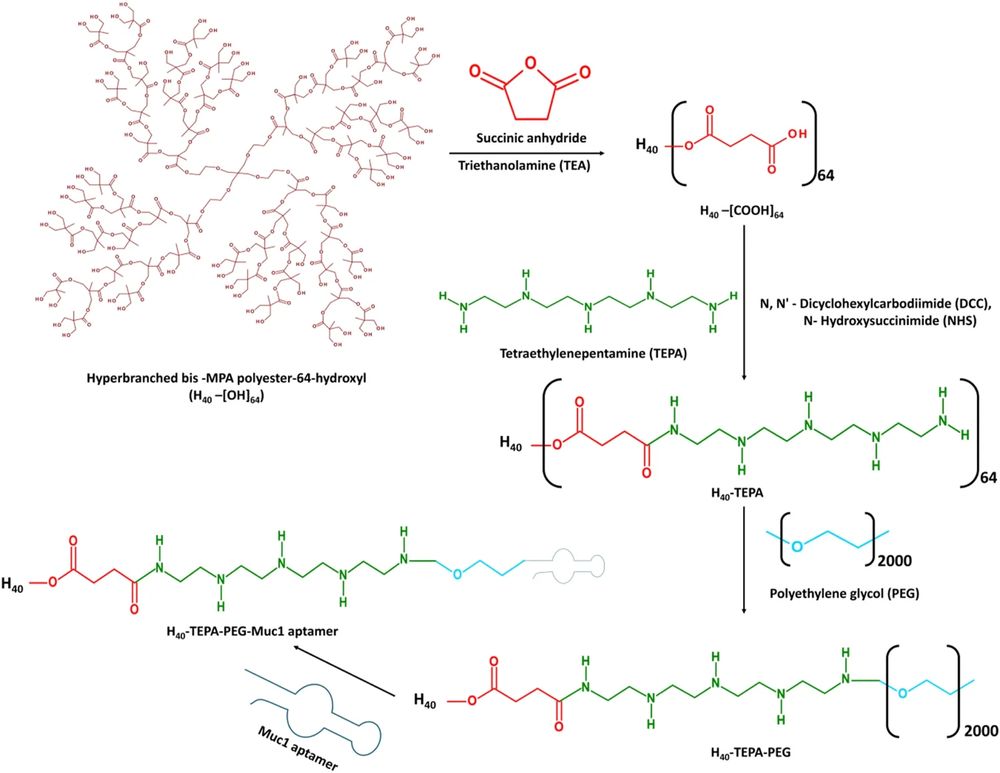 Synthesis of MUC1 aptamer-tethered dendrimer for targeted siRNA delivery